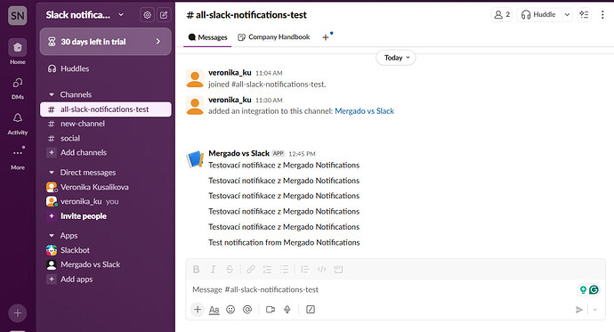 slack test notification