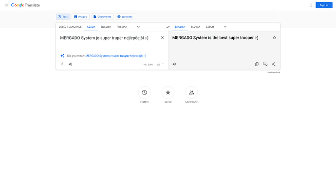 Náhled Google Translate