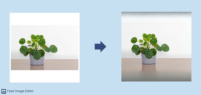 outpainting_cele_platno